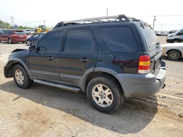 2005 Ford Escape XLT