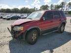 2006 Ford Escape XLT