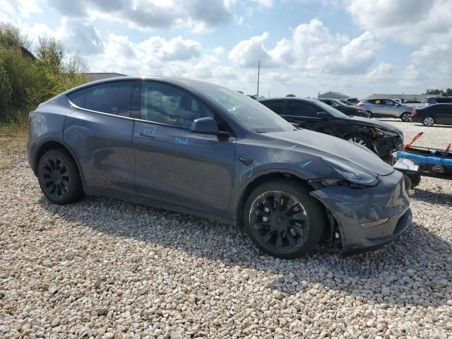 2020 Tesla Model Y