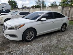 2017 Hyundai Sonata SE en venta en Opa Locka, FL