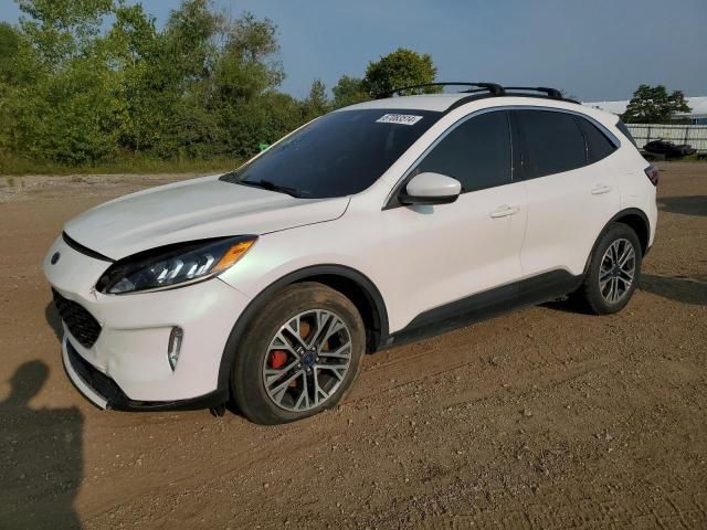 2020 Ford Escape SEL