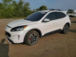 Salvage cars for sale at Columbia Station, OH auction: 2020 Ford Escape SEL