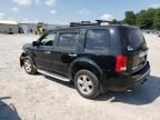 2009 Honda Pilot EXL