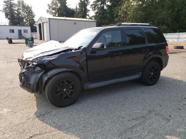 2010 Ford Escape Limited