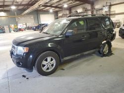 Salvage cars for sale at Eldridge, IA auction: 2010 Ford Escape XLT