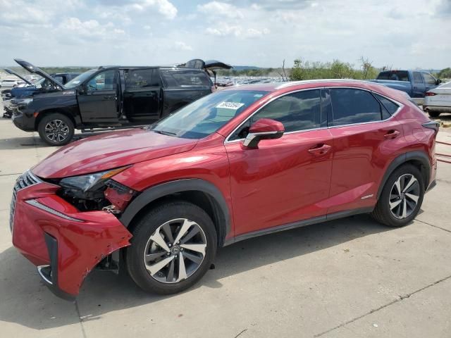 2020 Lexus NX 300H