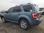 2010 Ford Escape Limited