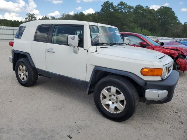 2010 Toyota FJ Cruiser