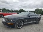 2007 Ford Mustang GT