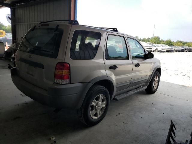 2001 Ford Escape XLT