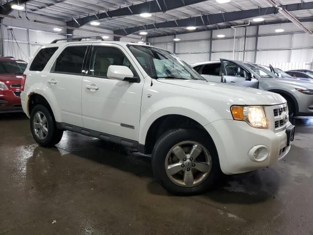 2008 Ford Escape Limited