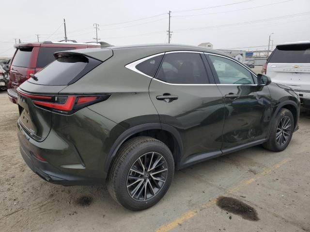 2023 Lexus NX 350