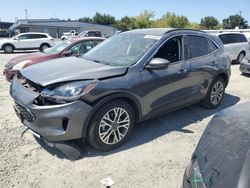 Salvage cars for sale at Sacramento, CA auction: 2021 Ford Escape SEL