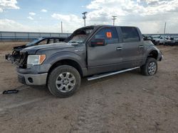 Salvage cars for sale at Amarillo, TX auction: 2013 Ford F150 Supercrew