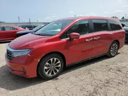 Flood-damaged cars for sale at auction: 2024 Honda Odyssey EXL