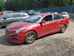 Vehiculos salvage en venta de Copart Graham, WA: 2016 Hyundai Sonata SE