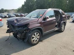 Salvage cars for sale at Glassboro, NJ auction: 2012 KIA Sorento Base