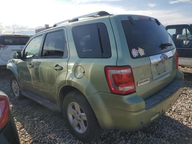 2008 Ford Escape HEV