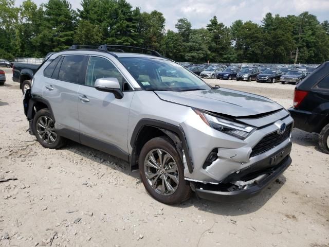 2024 Toyota Rav4 XLE Premium