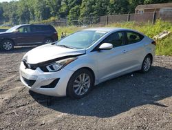 Salvage cars for sale at Baltimore, MD auction: 2014 Hyundai Elantra SE