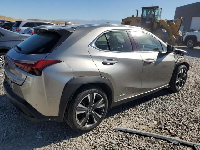 2020 Lexus UX 250H