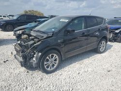 Salvage cars for sale at Taylor, TX auction: 2019 Ford Escape SE