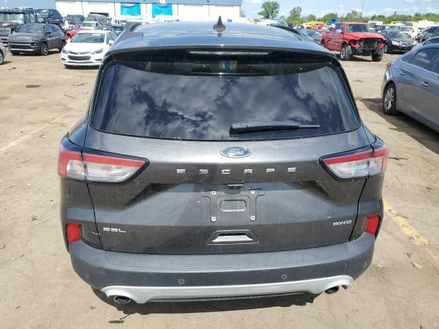 2020 Ford Escape SEL