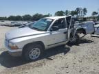 2001 Dodge Dakota Quattro