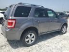 2009 Ford Escape Limited