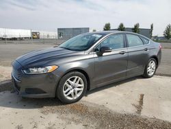 Salvage cars for sale at Pasco, WA auction: 2016 Ford Fusion SE