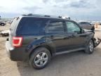 2009 Ford Escape Limited