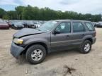 2005 Ford Escape XLS