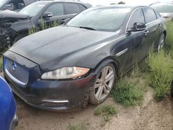 Salvage cars for sale at Brighton, CO auction: 2011 Jaguar XJL