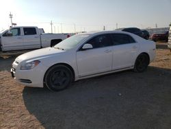 Chevrolet Vehiculos salvage en venta: 2009 Chevrolet Malibu 1LT