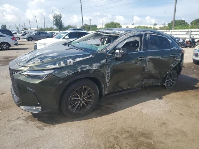 2024 Lexus NX 250 Base