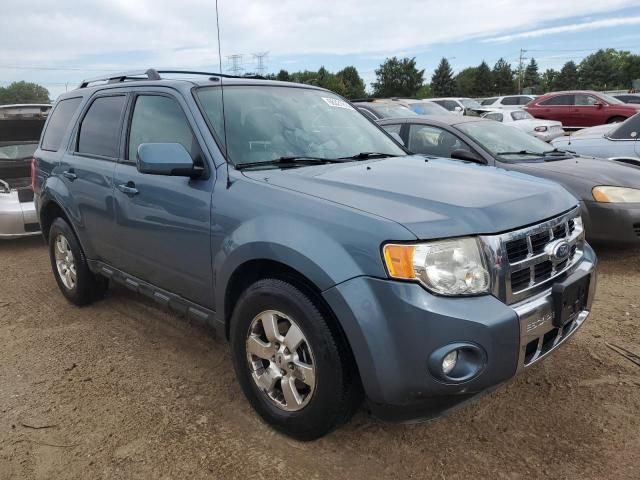 2010 Ford Escape Limited