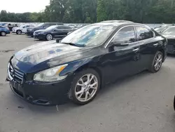 Nissan salvage cars for sale: 2013 Nissan Maxima S