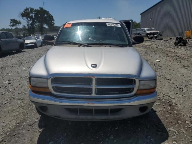 2001 Dodge Dakota Quattro