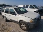 2006 Ford Escape XLT