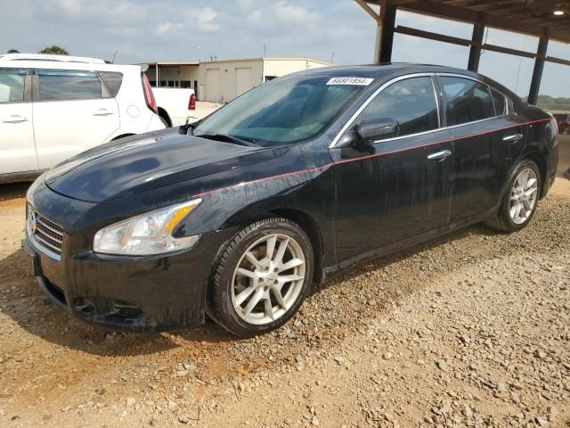 2010 Nissan Maxima S