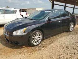 Salvage cars for sale at Tanner, AL auction: 2010 Nissan Maxima S