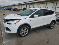 Salvage cars for sale at Louisville, KY auction: 2013 Ford Escape SE