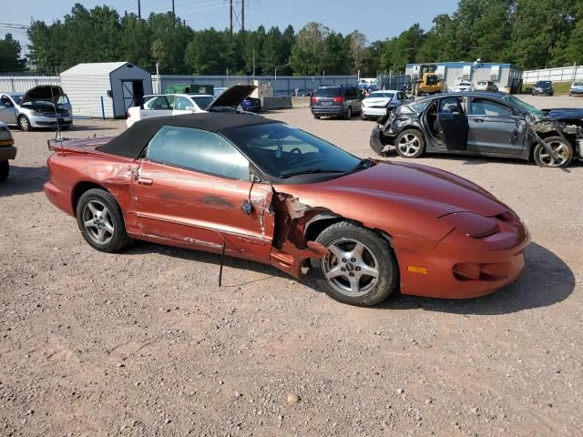 2002 Pontiac Firebird