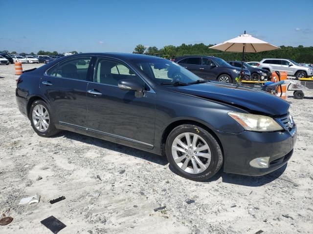 2010 Lexus ES 350