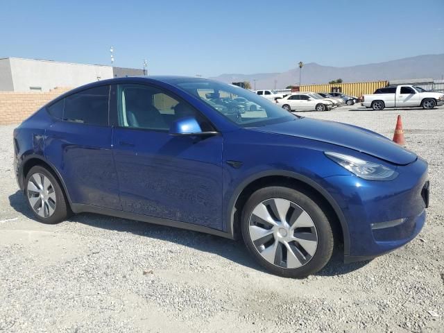 2020 Tesla Model Y