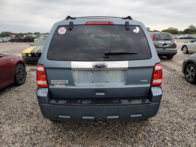 2010 Ford Escape Limited