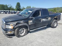 Dodge ram 1500 st Vehiculos salvage en venta: 2003 Dodge RAM 1500 ST