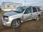 2008 Chevrolet Trailblazer LS