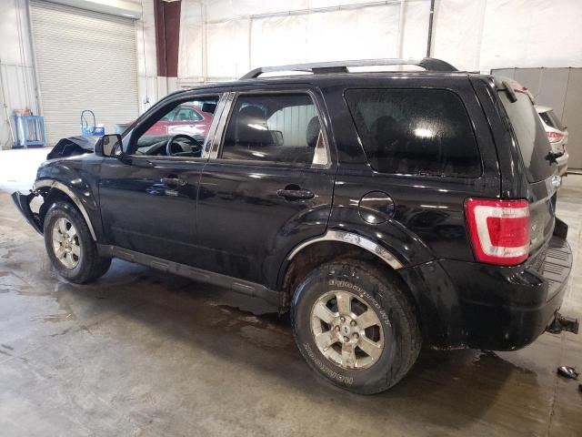 2010 Ford Escape Limited