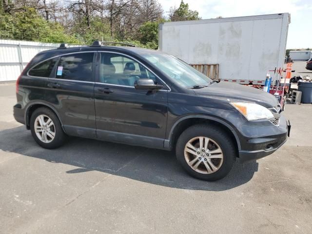 2010 Honda CR-V EXL